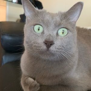 Meet your Posher, Natalie